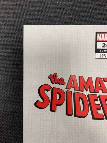Amazing Spider-Man #26 1:100 Simone Bianchi Virgin Variant First Print Key Marvel 2023