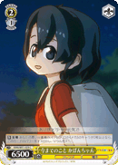 KMN/W51-029 C Kaban-chan, Everything Up Until Now