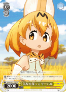 KMN/W51-T03 TD Serval, Searching for a Sign
