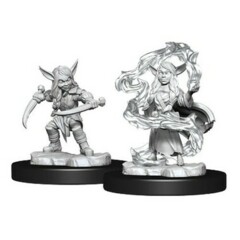Goblin Sorcerer and Rogue - Female
