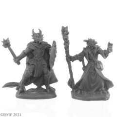 44144 - Dragonfolk Wizard and Cleric