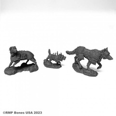 07100 - War Dogs (3)
