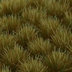 Gamer's Grass  Mixed Green (6mm)