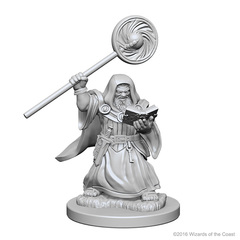 Nolzur's Marvelous Miniatures - Dwarf Wizard (Male)