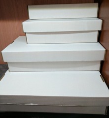 Cardboard Card Box (Graded Cards)