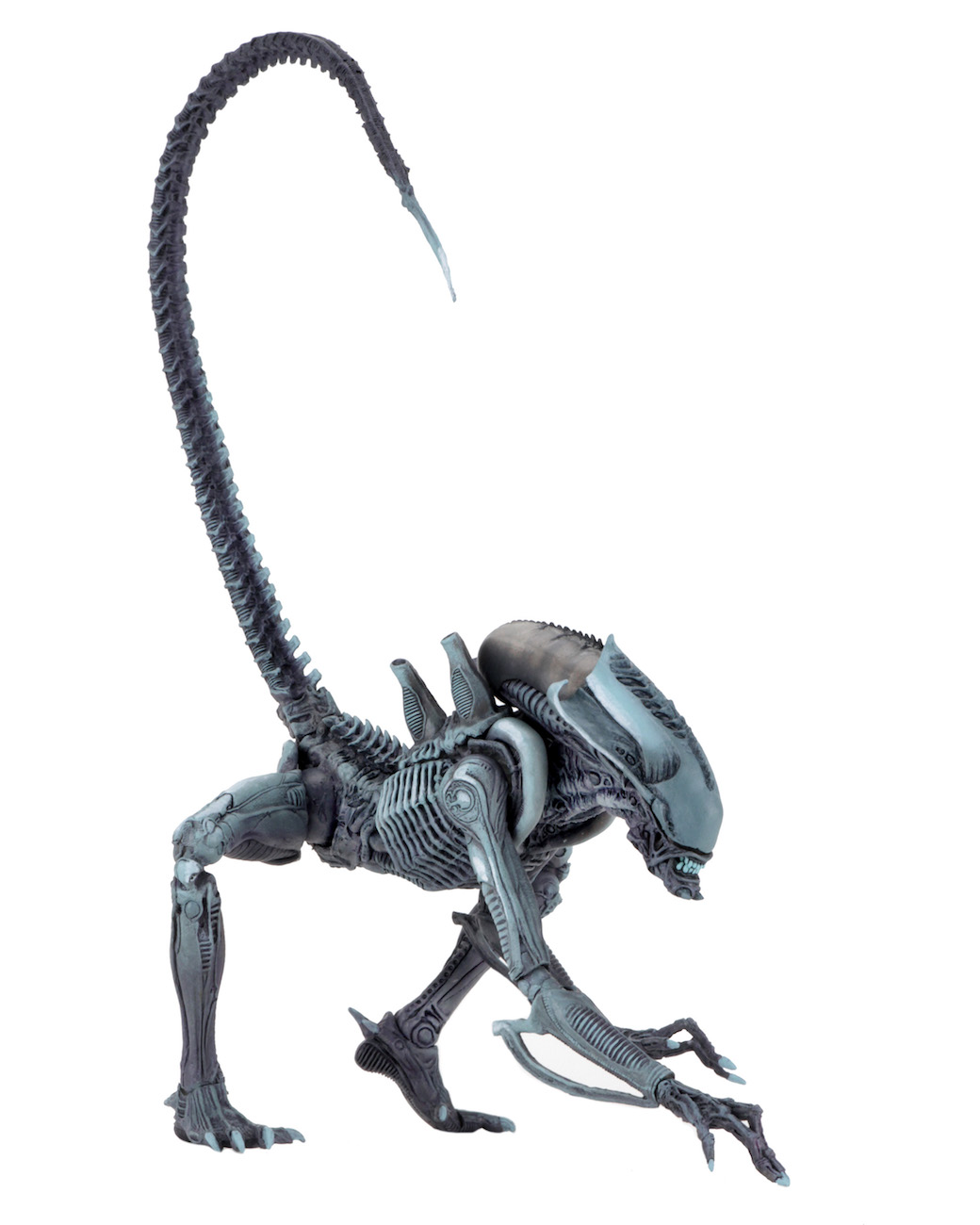 Neca Aliens VS. Predator - Arachnoid Alien