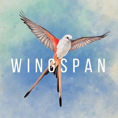 Wingspan 2nd edition  - STM910