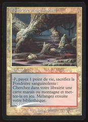 Bloodstained Mire - NM Foil French _9298