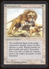 Savannah Lions - MP _8109