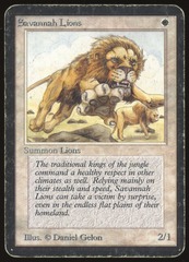 Savannah Lions - HP _8749