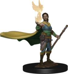 Dungeons & Dragons Icons of the Realms Premium Figures: W1 Elf Female Druid