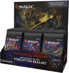 Forgotten Realms Set Booster Box