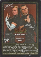Hardy Boyz Superstar Card