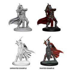 Pathfinder Deep Cuts - Knights Female / Gray Maidens Pre-Primed