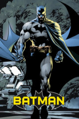 #029 - Batman Dark Knight